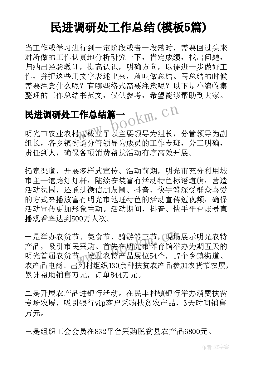 民进调研处工作总结(模板5篇)