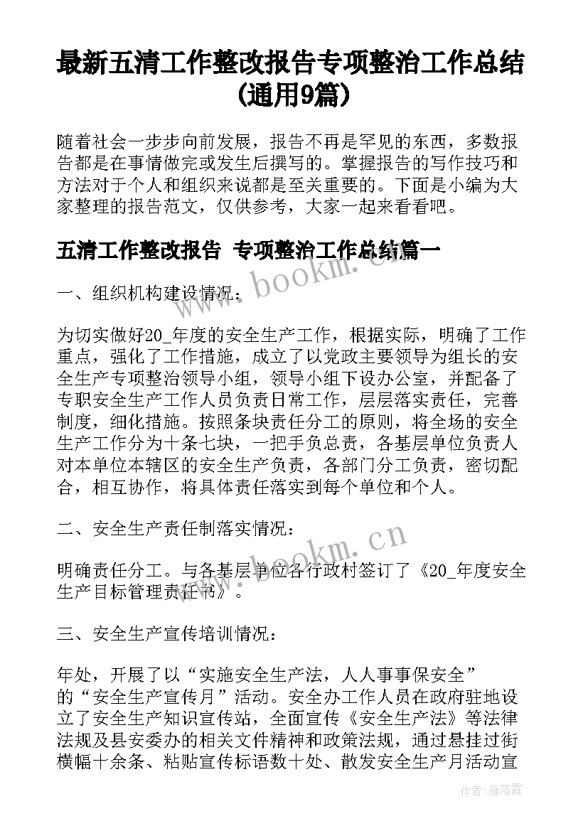 最新五清工作整改报告 专项整治工作总结(通用9篇)