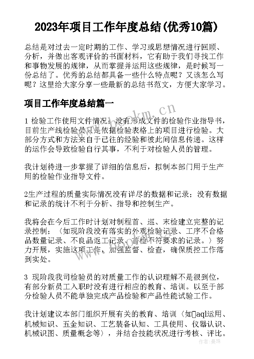 2023年项目工作年度总结(优秀10篇)