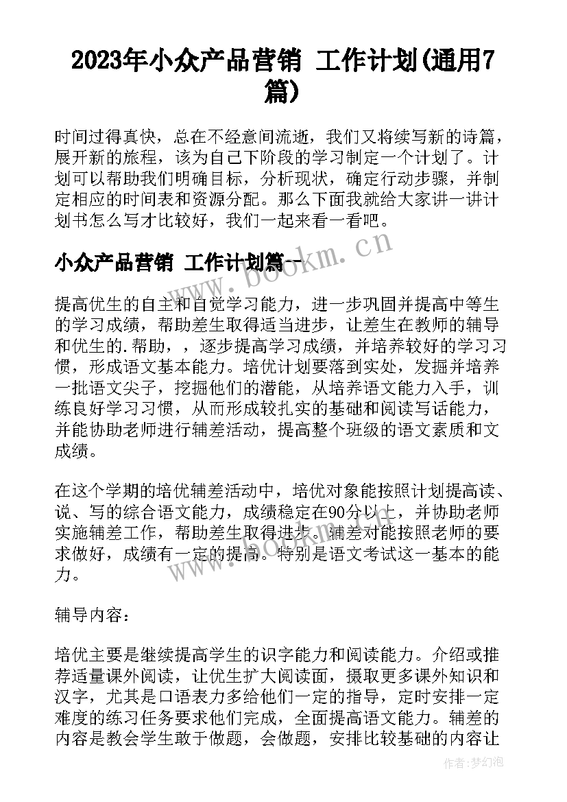 2023年小众产品营销 工作计划(通用7篇)