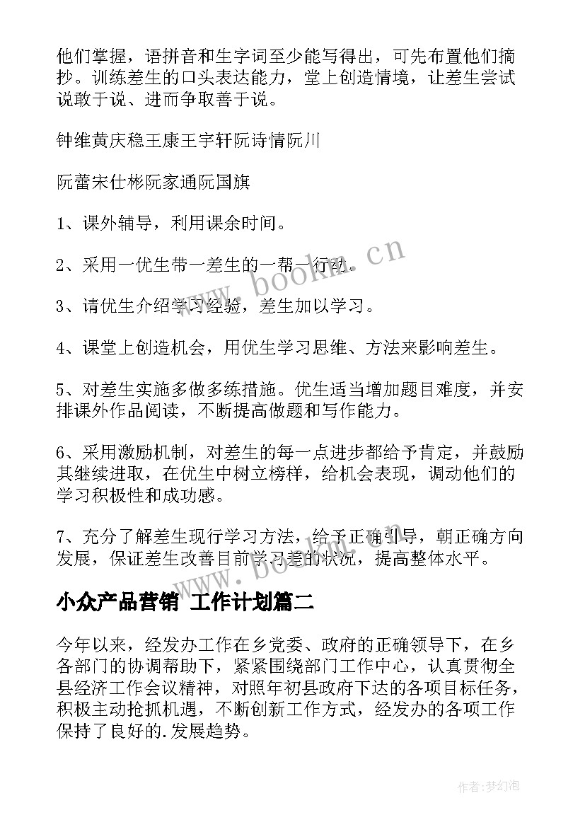 2023年小众产品营销 工作计划(通用7篇)