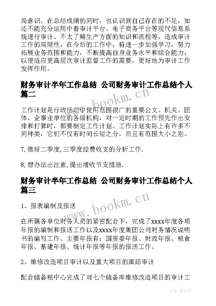 财务审计半年工作总结 公司财务审计工作总结个人(实用9篇)