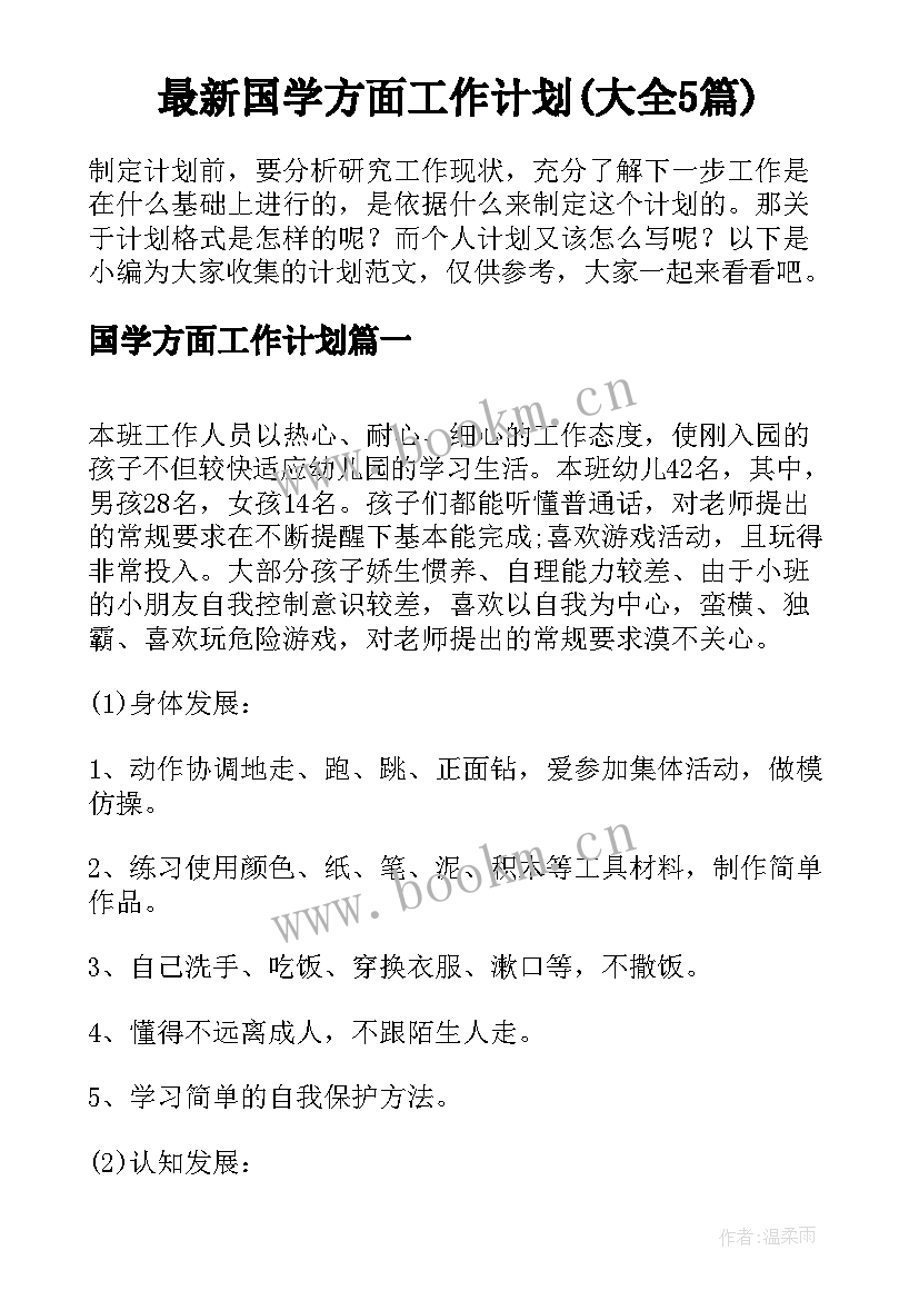 最新国学方面工作计划(大全5篇)