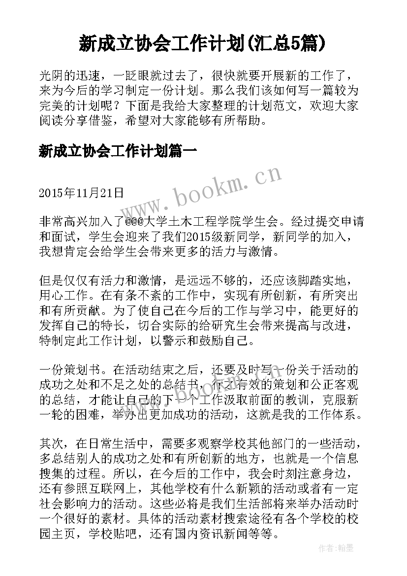 新成立协会工作计划(汇总5篇)