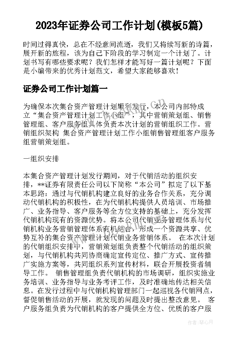 2023年证券公司工作计划(模板5篇)