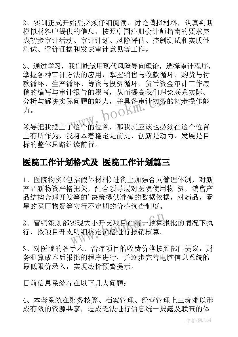 最新医院工作计划格式及 医院工作计划(实用5篇)