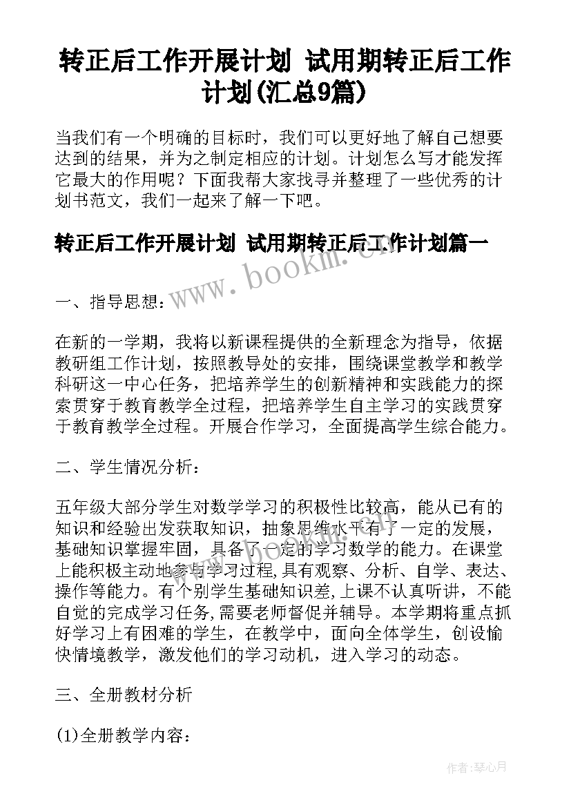 转正后工作开展计划 试用期转正后工作计划(汇总9篇)