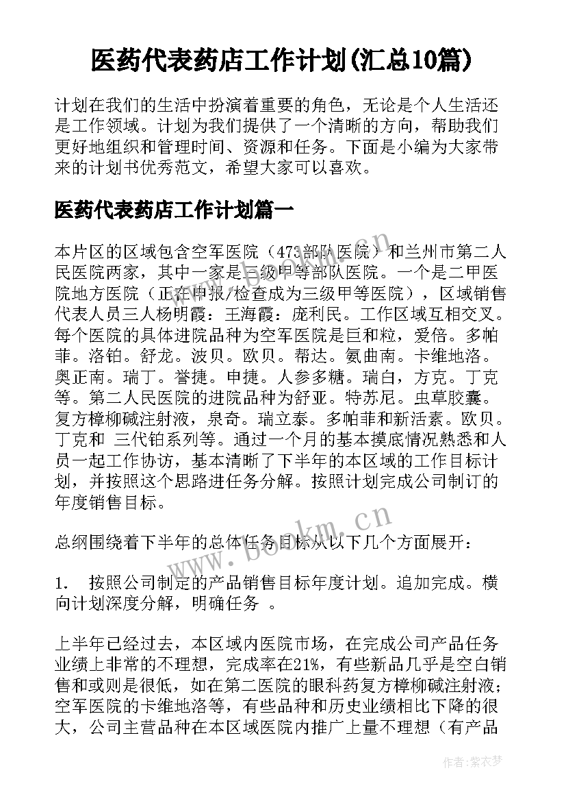 医药代表药店工作计划(汇总10篇)