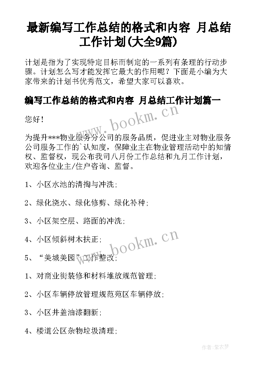 最新编写工作总结的格式和内容 月总结工作计划(大全9篇)