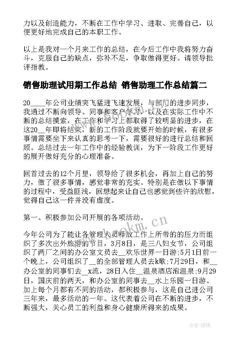 最新销售助理试用期工作总结 销售助理工作总结(优质9篇)