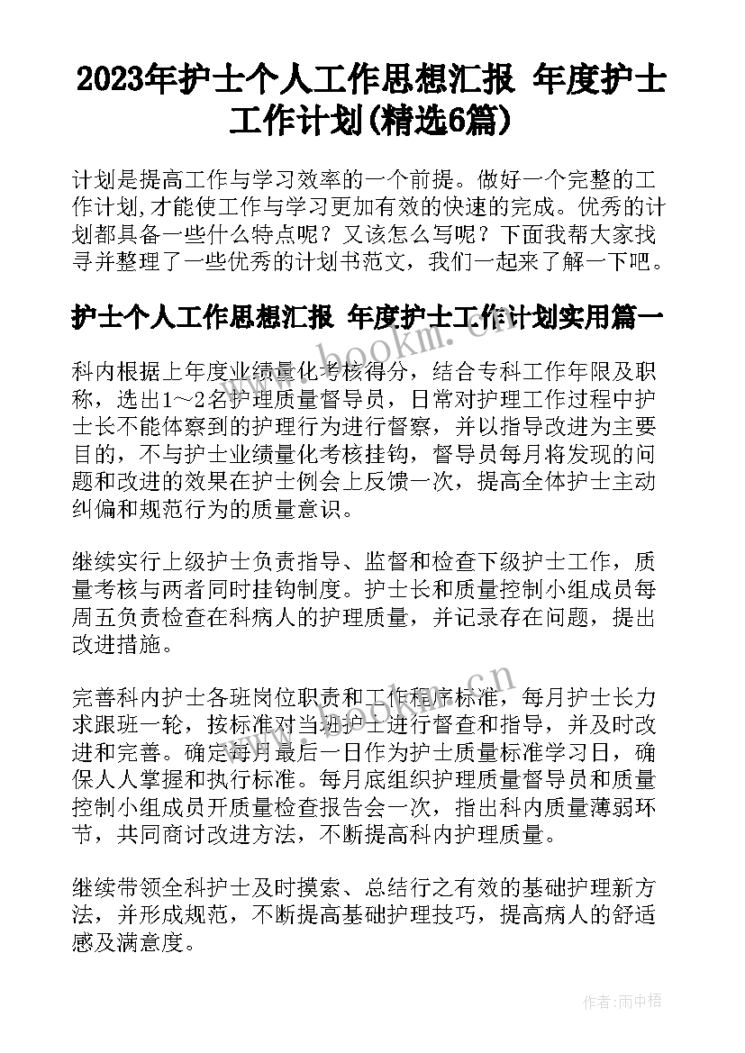 2023年护士个人工作思想汇报 年度护士工作计划(精选6篇)