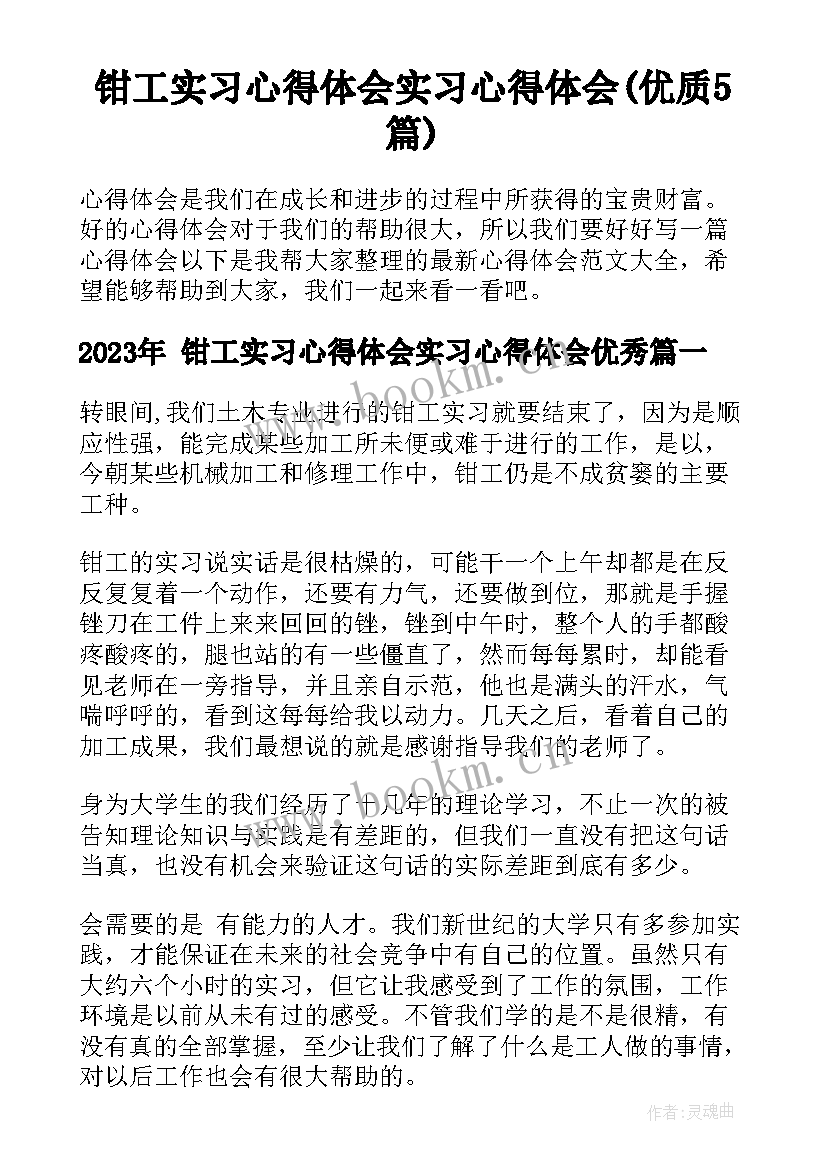  钳工实习心得体会实习心得体会(优质5篇)