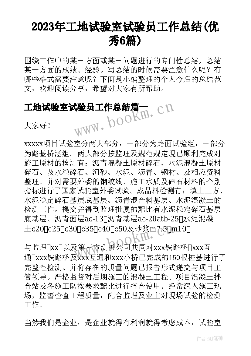 2023年工地试验室试验员工作总结(优秀6篇)