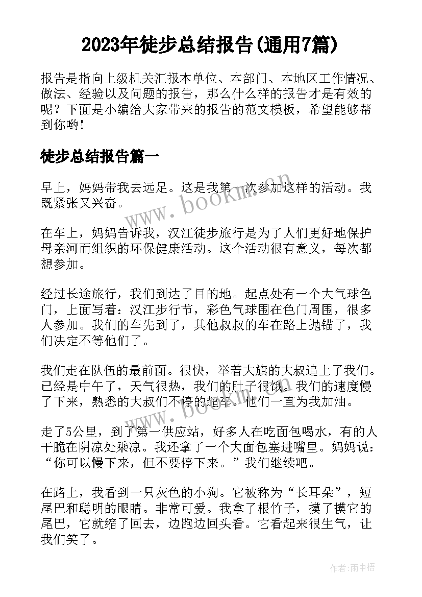 2023年徒步总结报告(通用7篇)