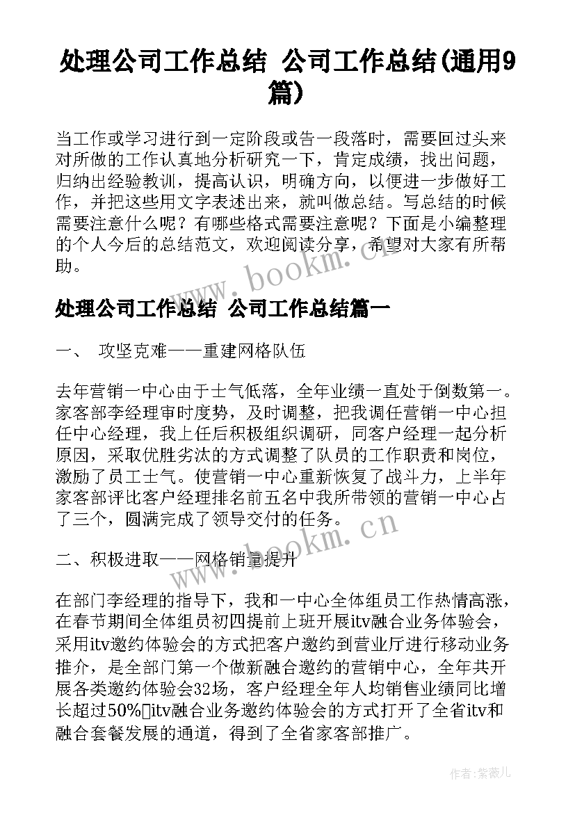 处理公司工作总结 公司工作总结(通用9篇)