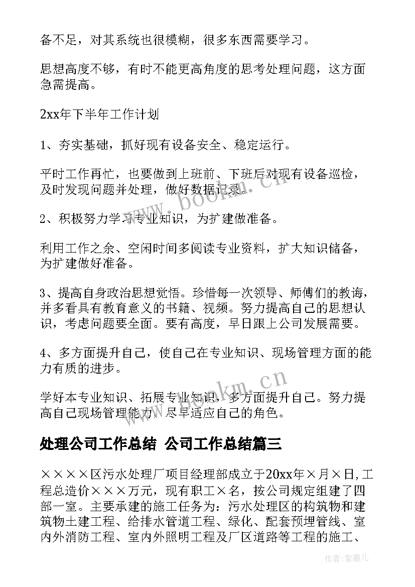 处理公司工作总结 公司工作总结(通用9篇)