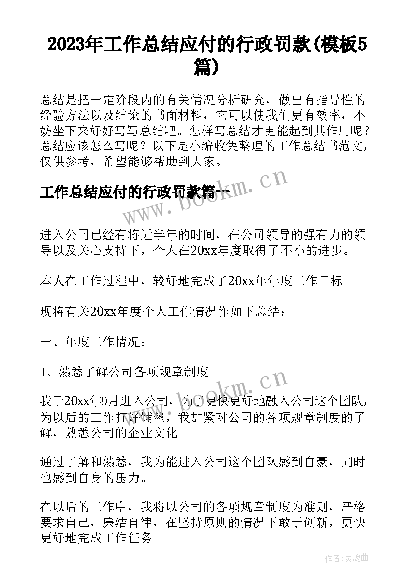 2023年工作总结应付的行政罚款(模板5篇)