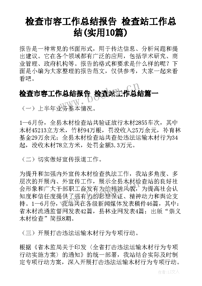 检查市容工作总结报告 检查站工作总结(实用10篇)