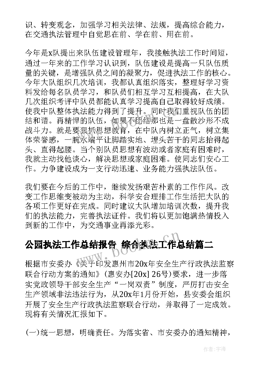 公园执法工作总结报告 综合执法工作总结(模板5篇)