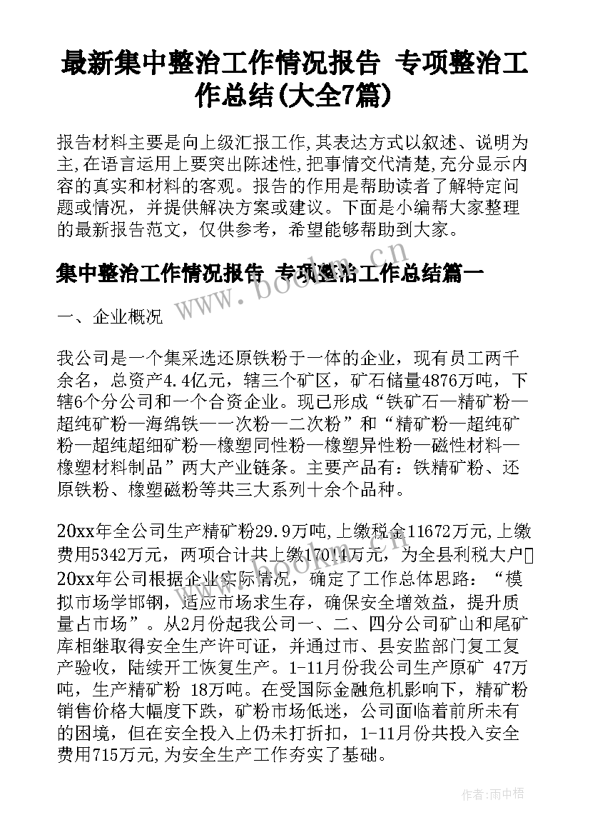 最新集中整治工作情况报告 专项整治工作总结(大全7篇)