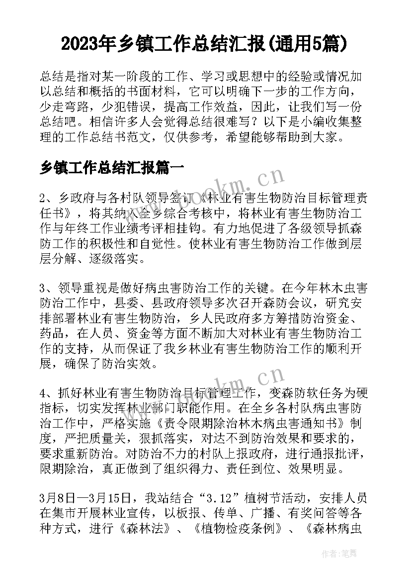 2023年乡镇工作总结汇报(通用5篇)