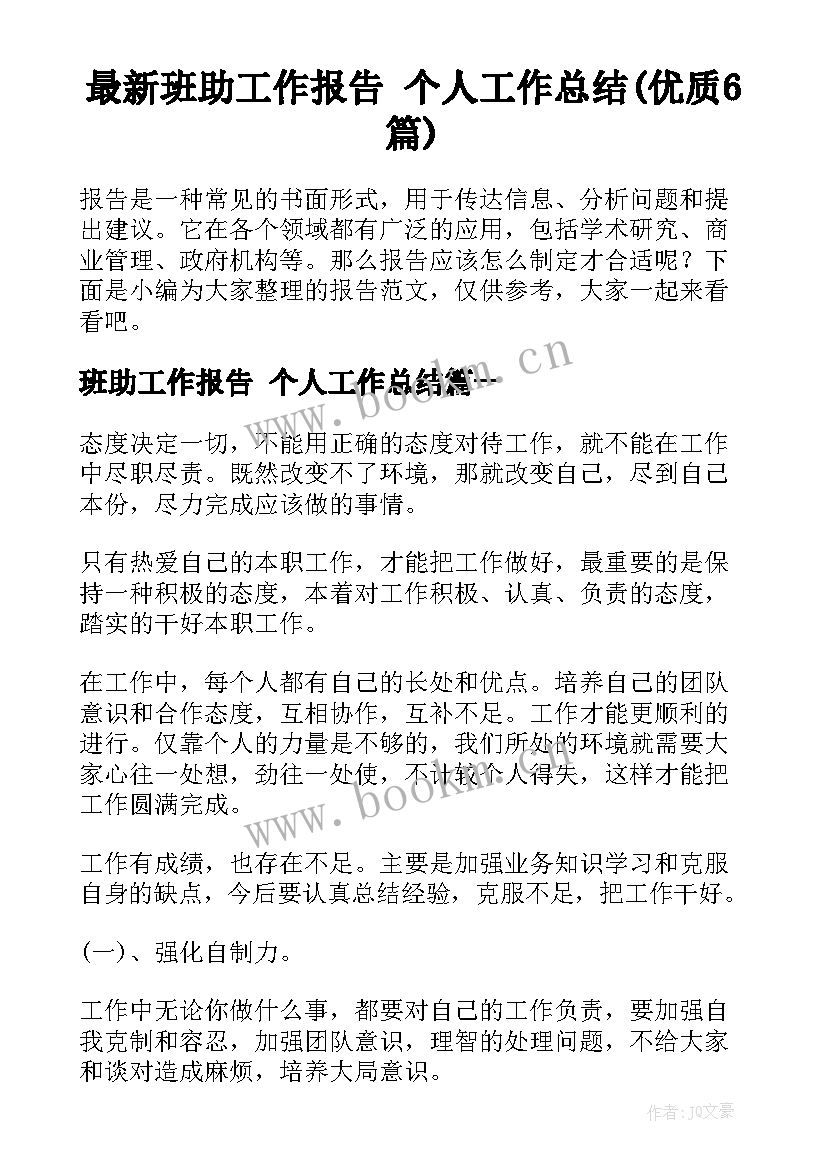 最新班助工作报告 个人工作总结(优质6篇)