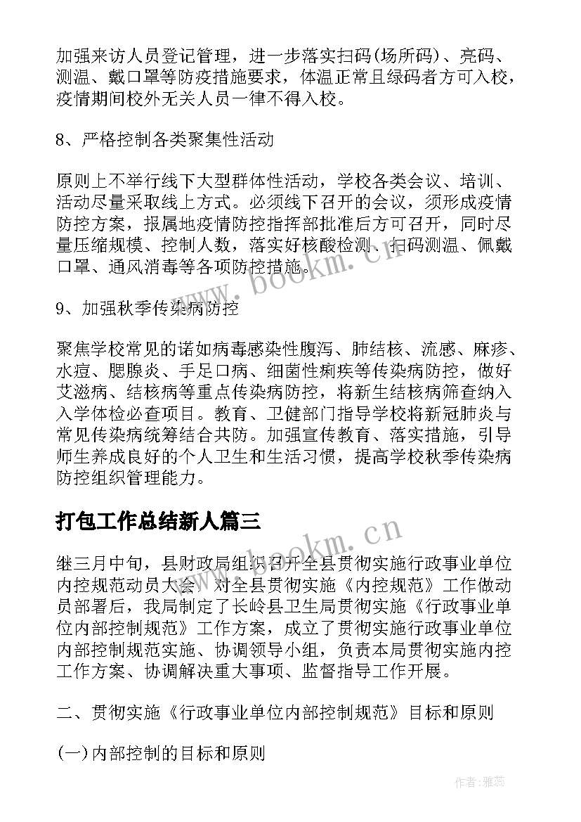 2023年打包工作总结新人(通用8篇)