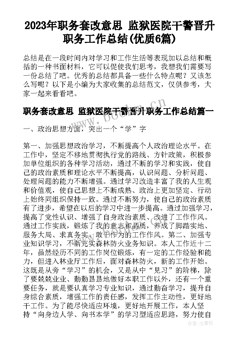 2023年职务套改意思 监狱医院干警晋升职务工作总结(优质6篇)