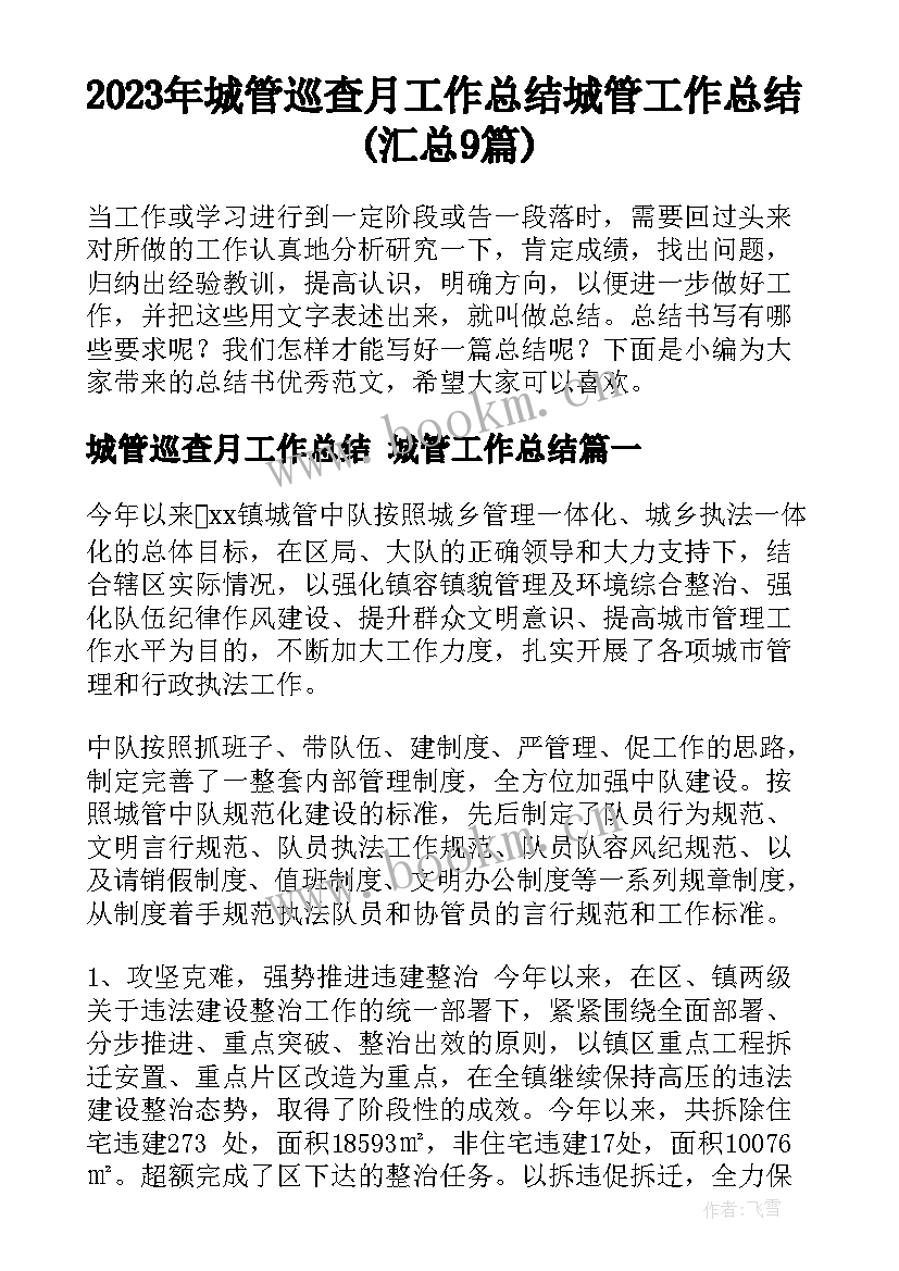 2023年城管巡查月工作总结 城管工作总结(汇总9篇)