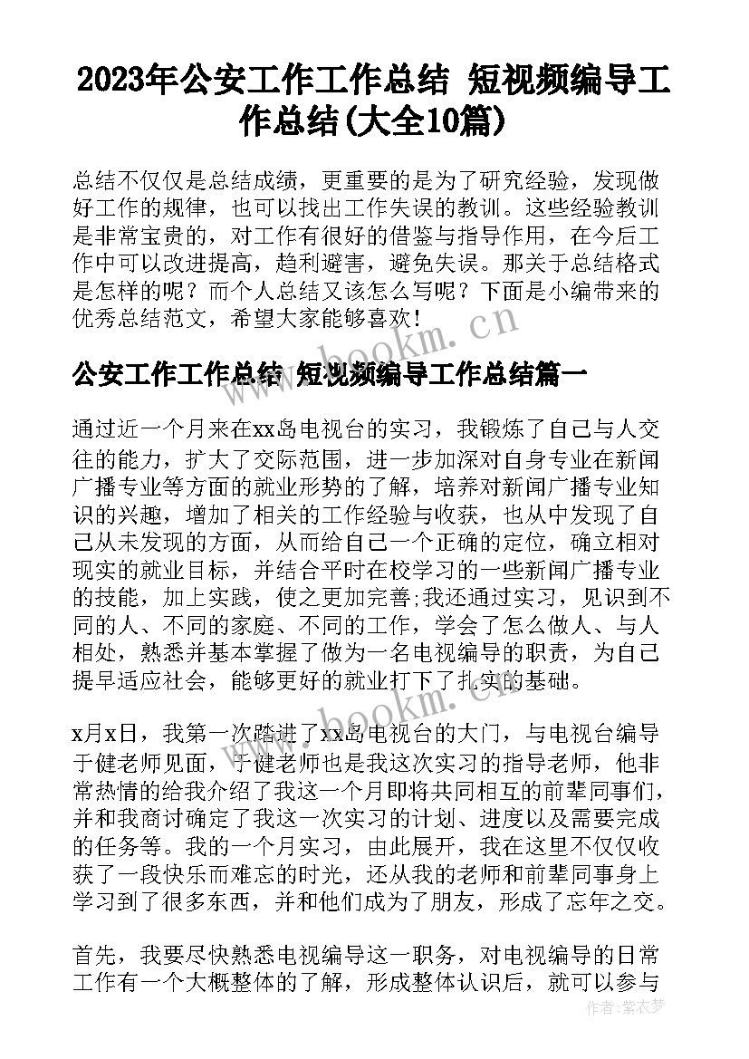 2023年公安工作工作总结 短视频编导工作总结(大全10篇)