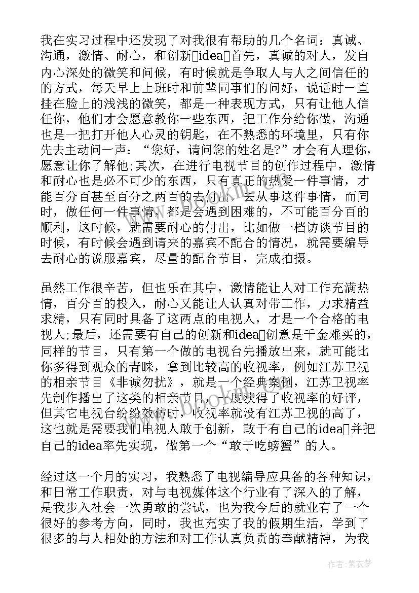 2023年公安工作工作总结 短视频编导工作总结(大全10篇)