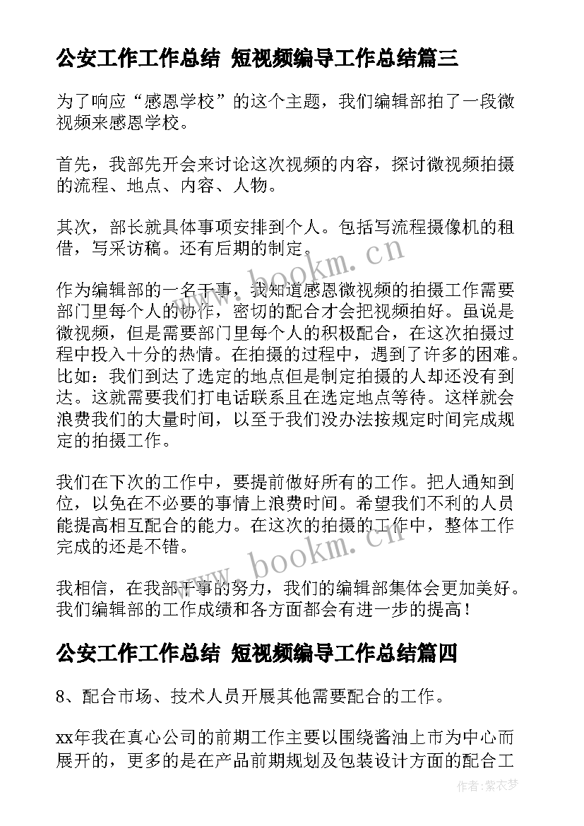 2023年公安工作工作总结 短视频编导工作总结(大全10篇)