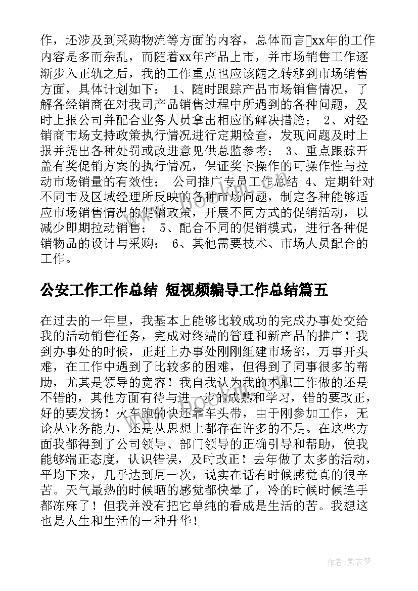 2023年公安工作工作总结 短视频编导工作总结(大全10篇)