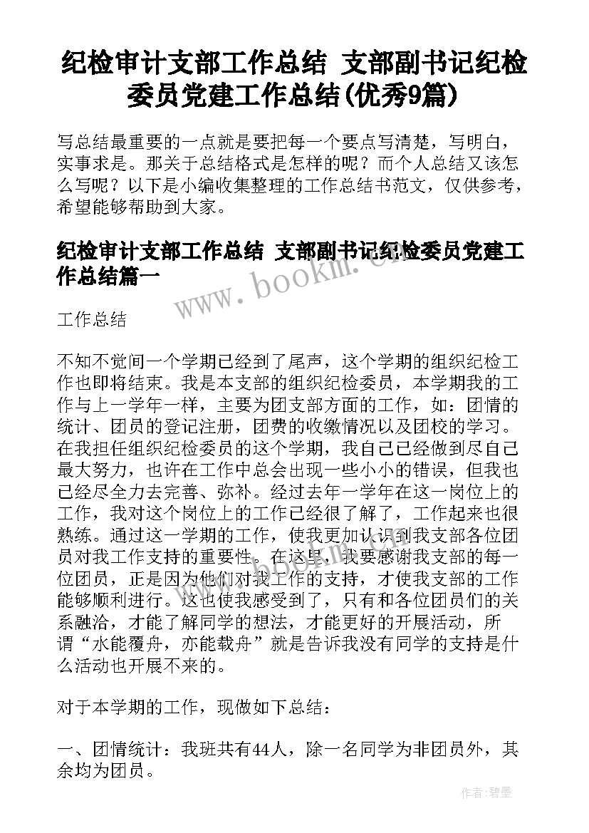 纪检审计支部工作总结 支部副书记纪检委员党建工作总结(优秀9篇)