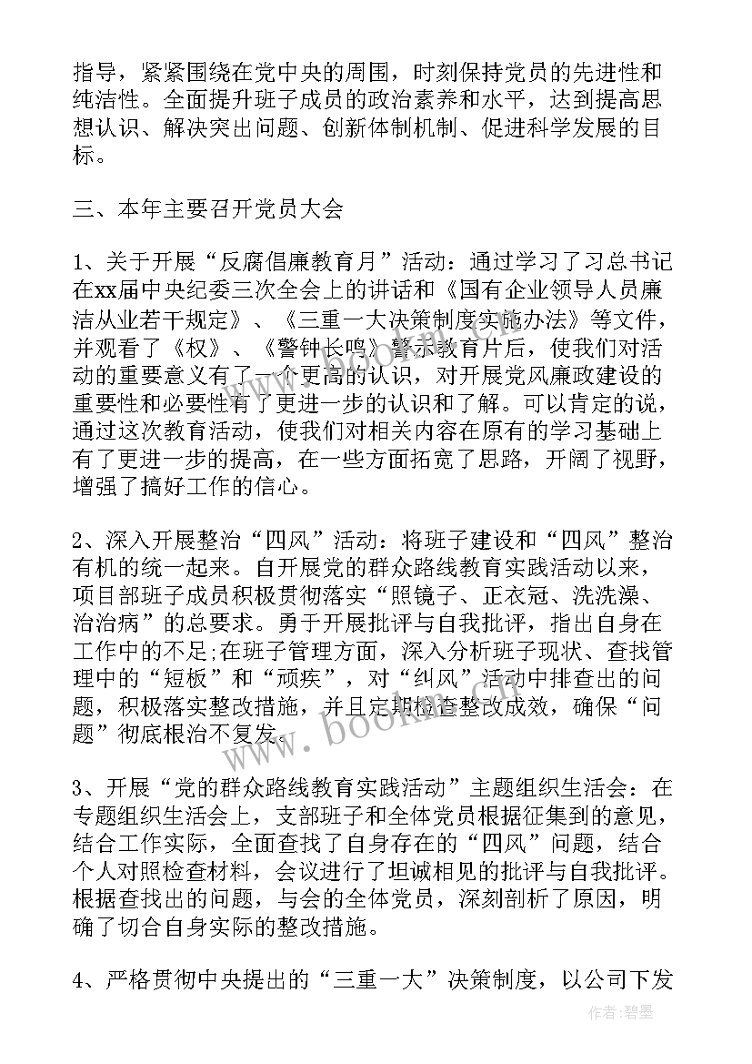 纪检审计支部工作总结 支部副书记纪检委员党建工作总结(优秀9篇)