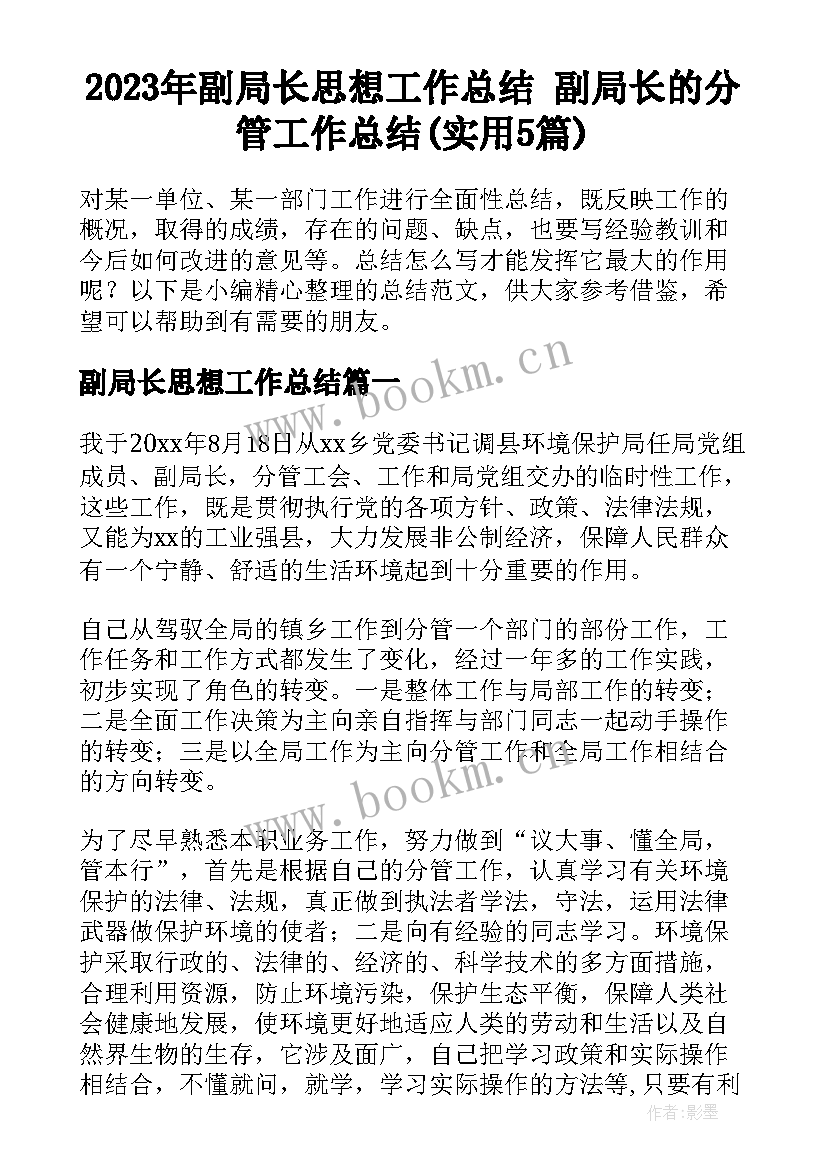 2023年副局长思想工作总结 副局长的分管工作总结(实用5篇)