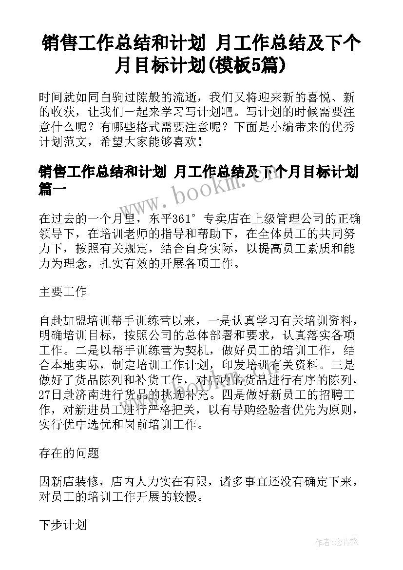 销售工作总结和计划 月工作总结及下个月目标计划(模板5篇)