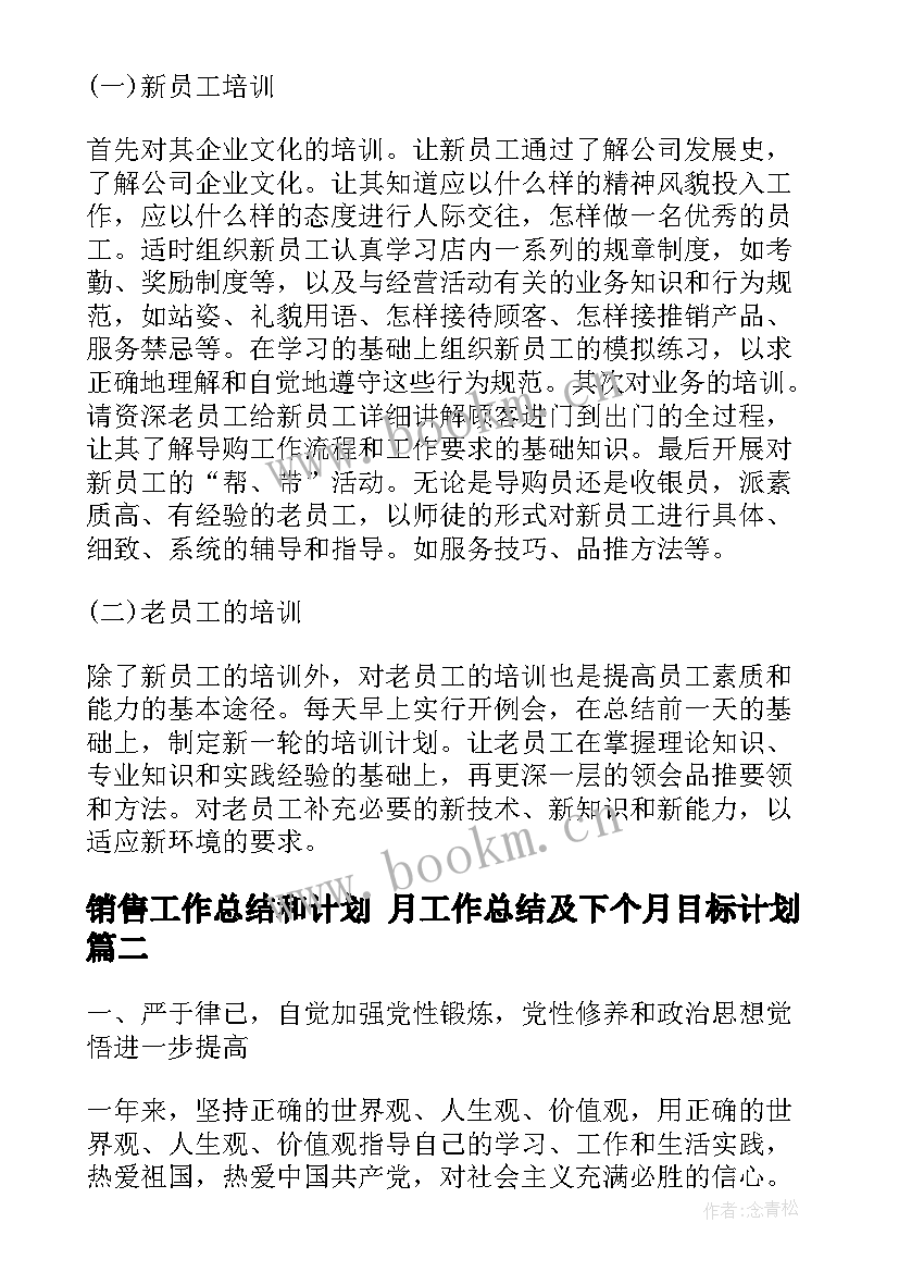 销售工作总结和计划 月工作总结及下个月目标计划(模板5篇)