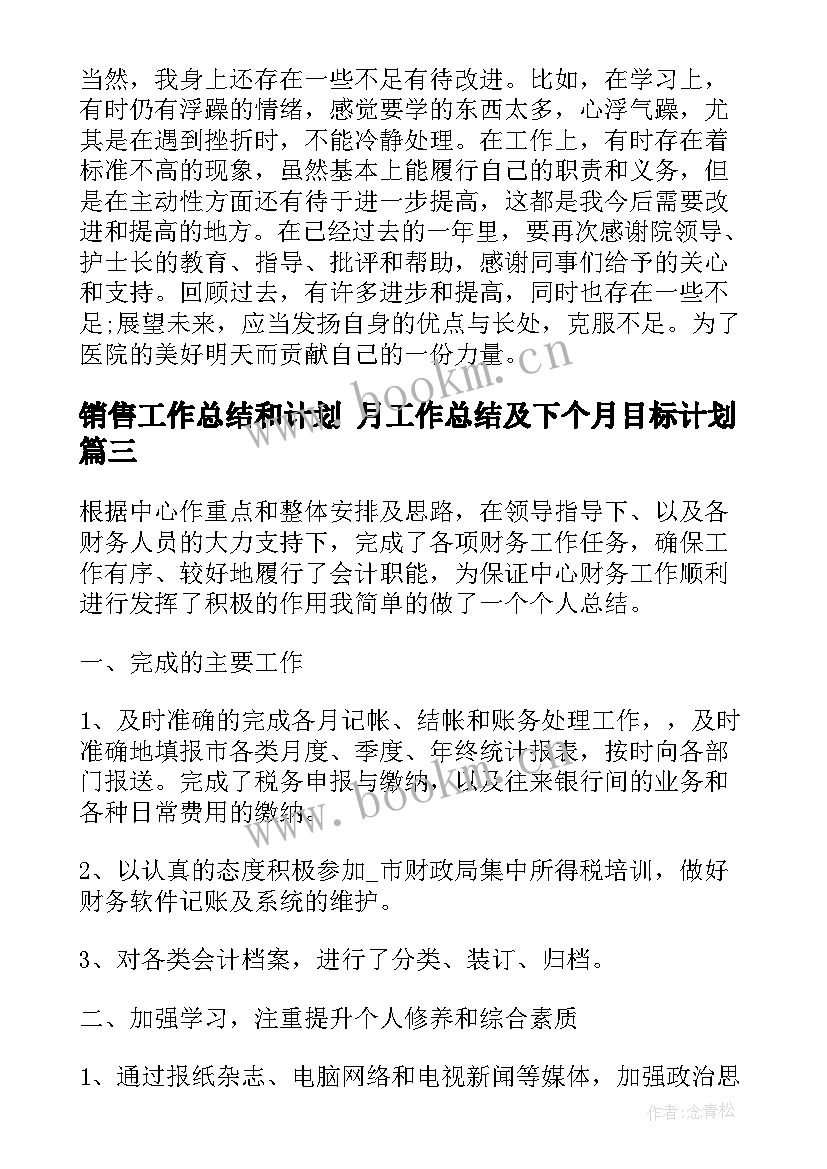 销售工作总结和计划 月工作总结及下个月目标计划(模板5篇)