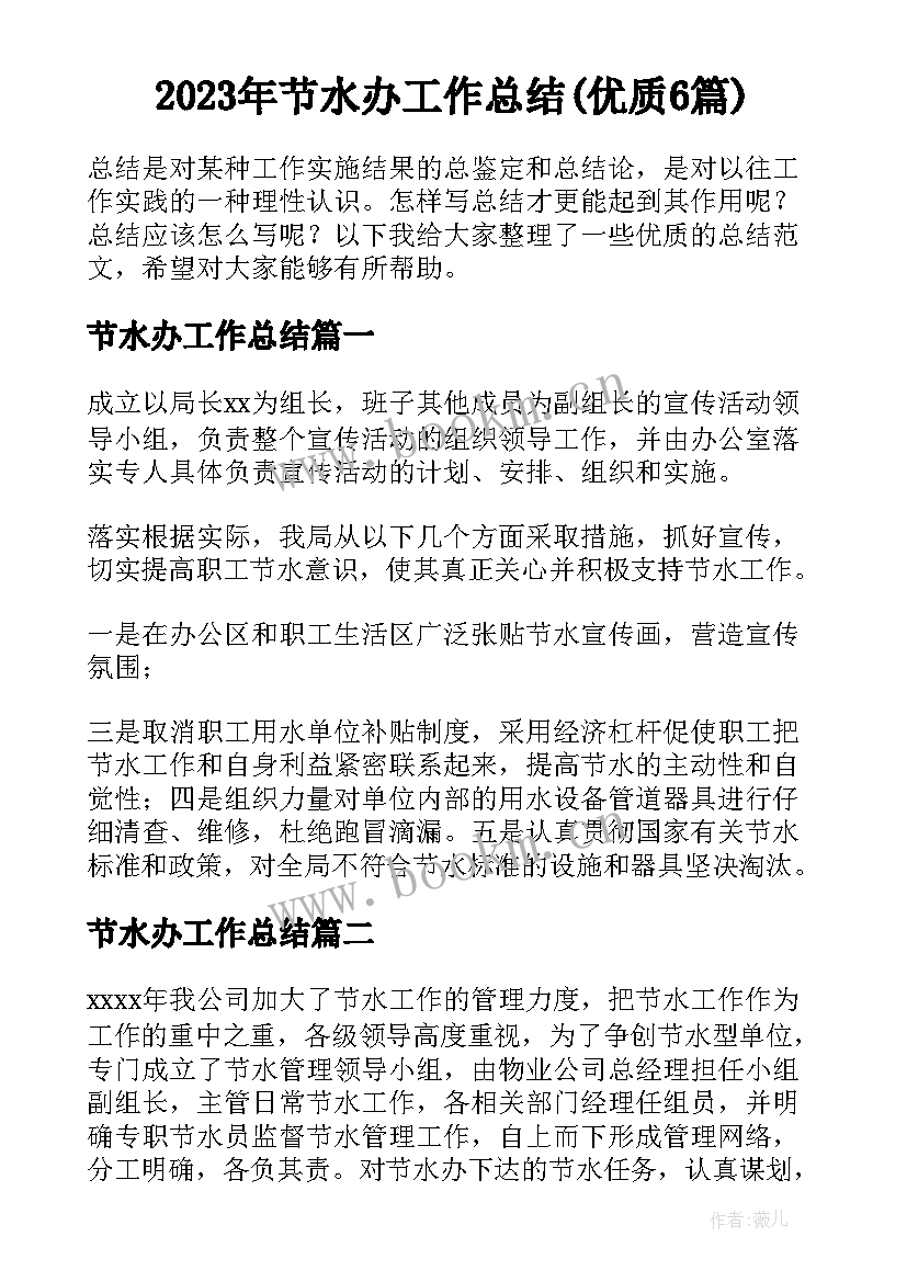 2023年节水办工作总结(优质6篇)