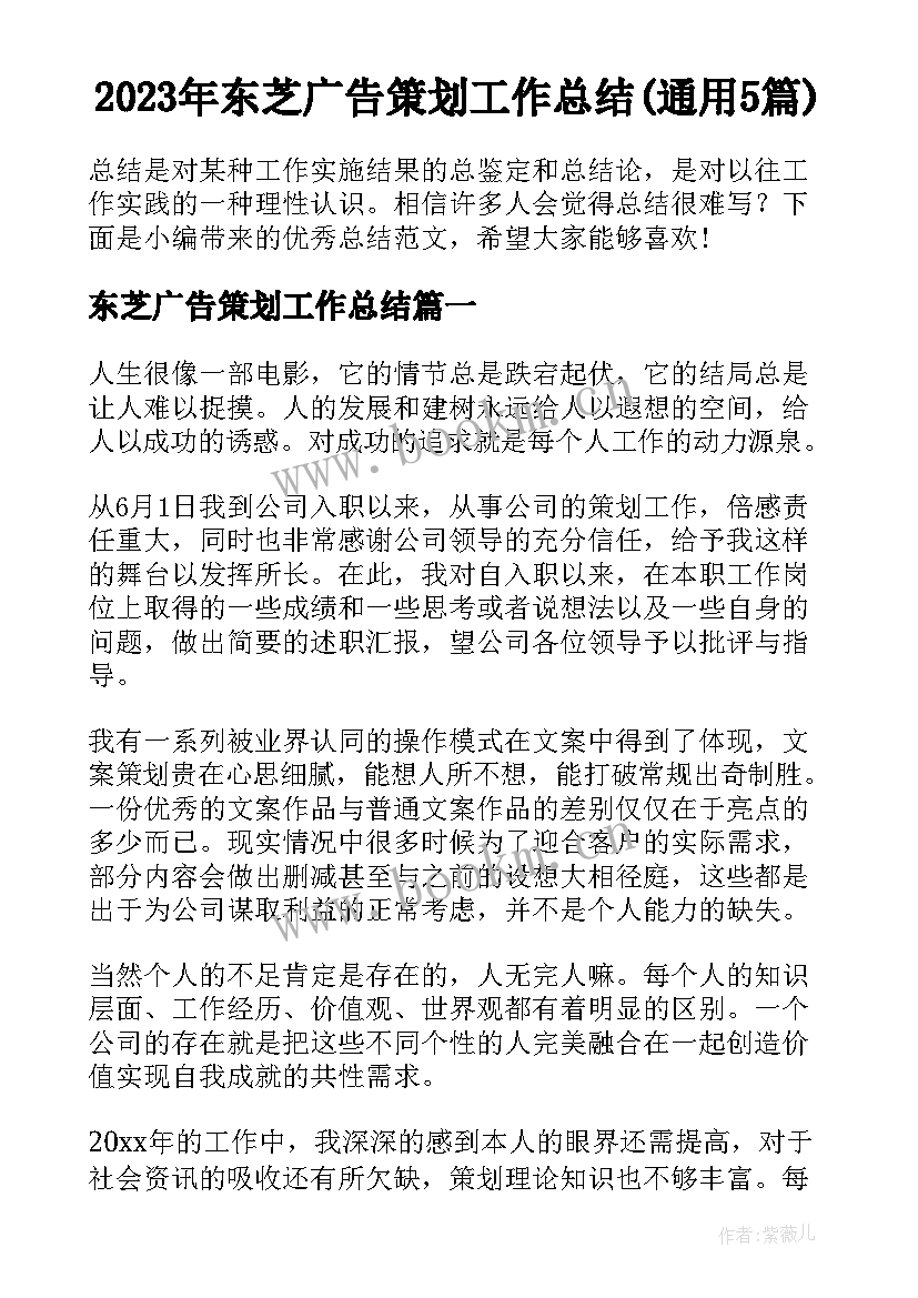 2023年东芝广告策划工作总结(通用5篇)