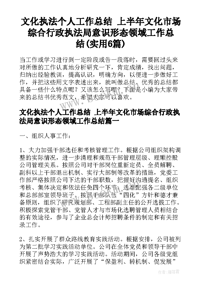 文化执法个人工作总结 上半年文化市场综合行政执法局意识形态领域工作总结(实用6篇)