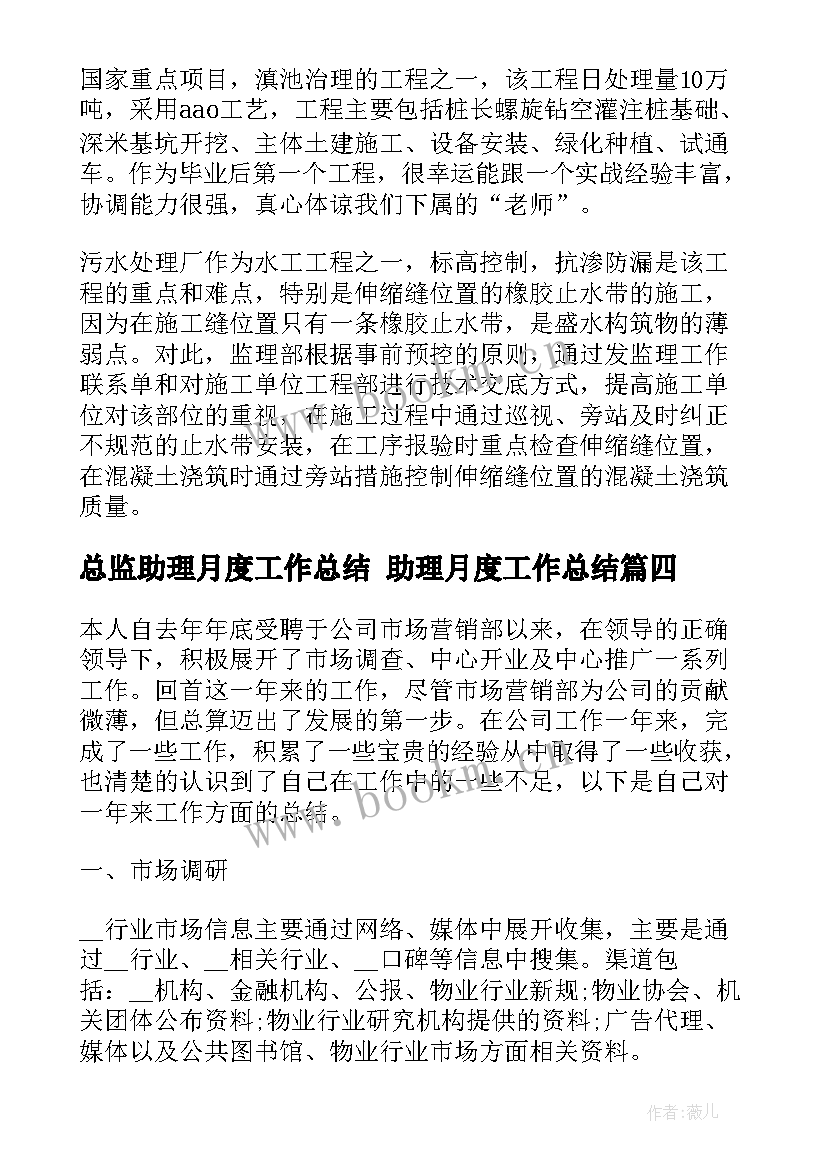 总监助理月度工作总结 助理月度工作总结(优质8篇)