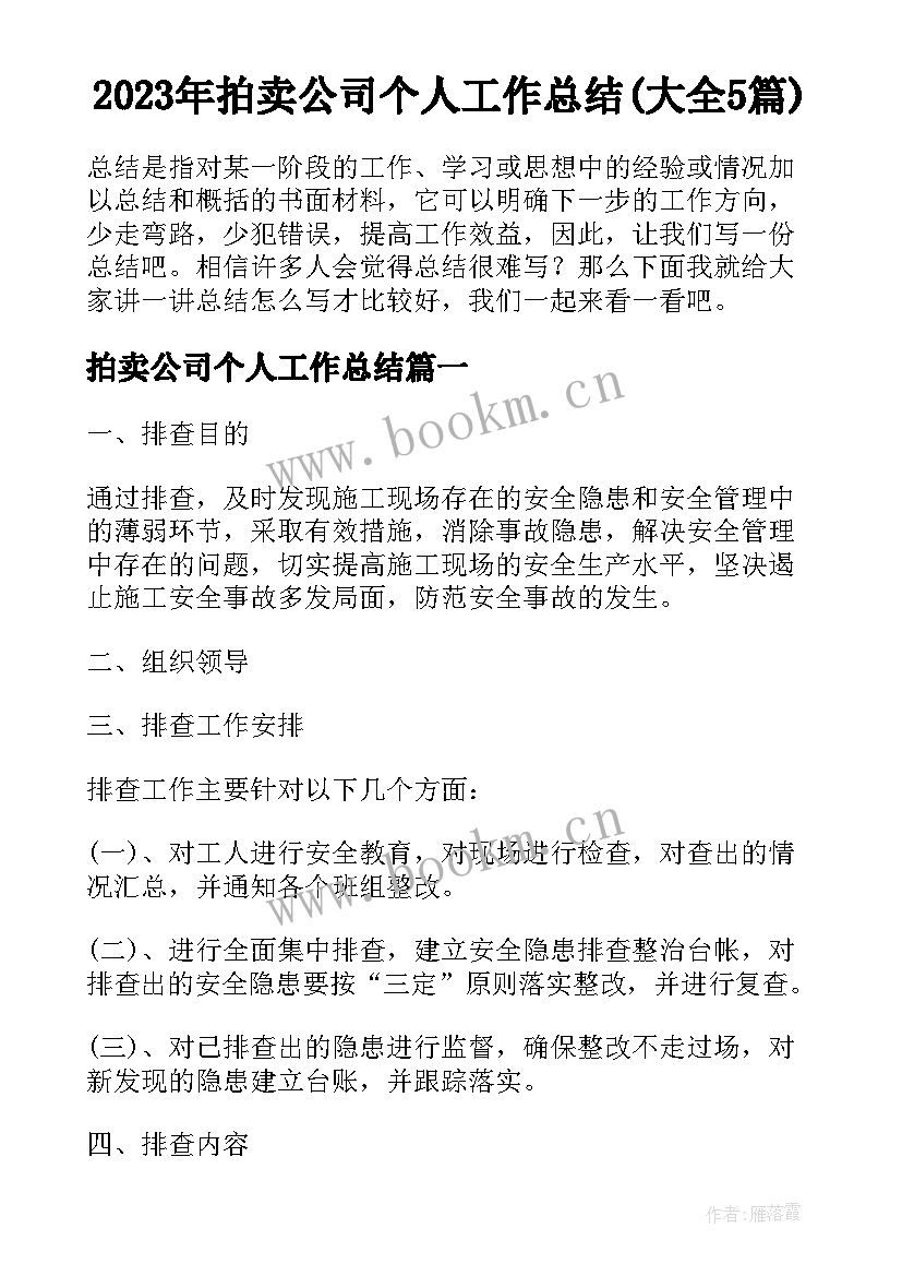 2023年拍卖公司个人工作总结(大全5篇)