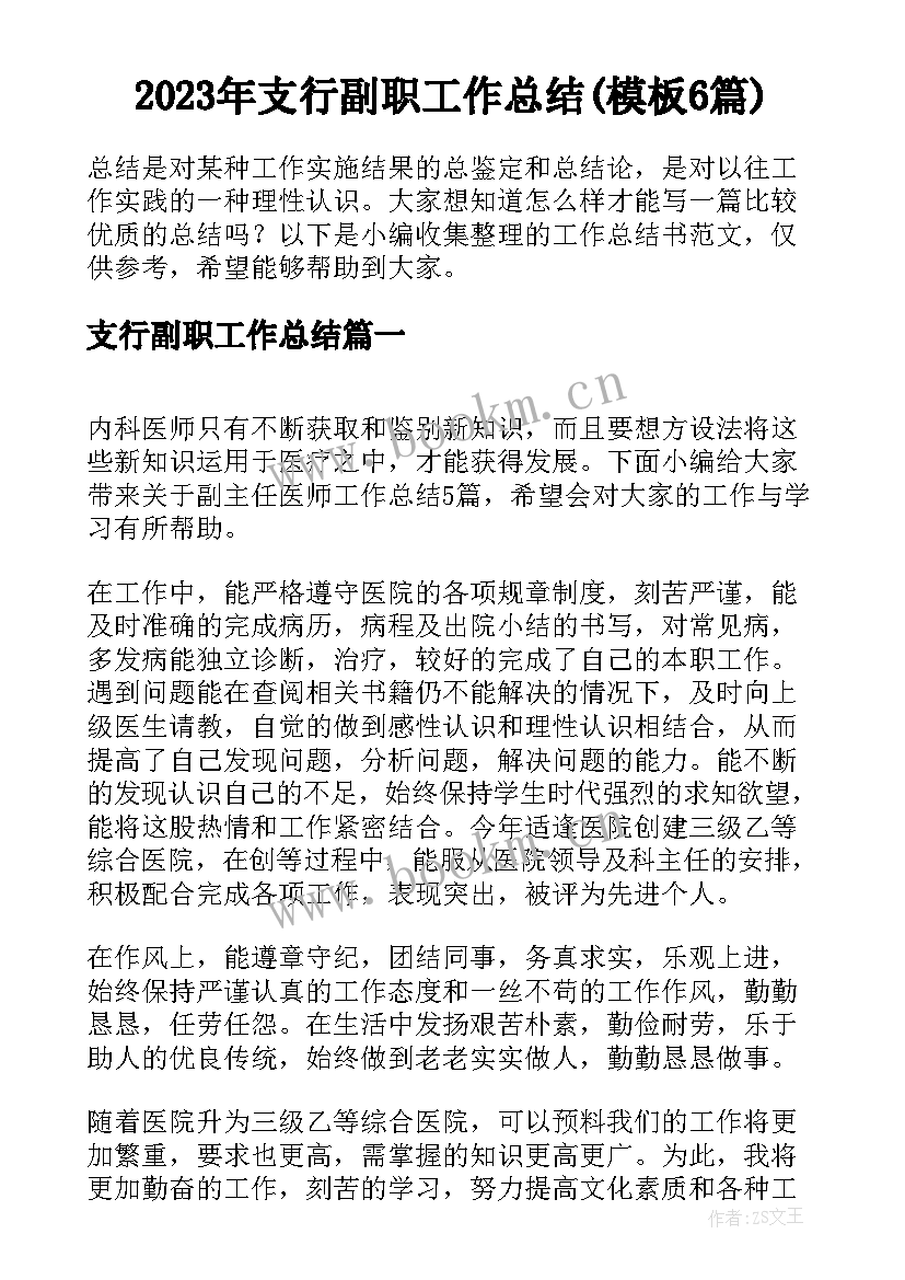 2023年支行副职工作总结(模板6篇)