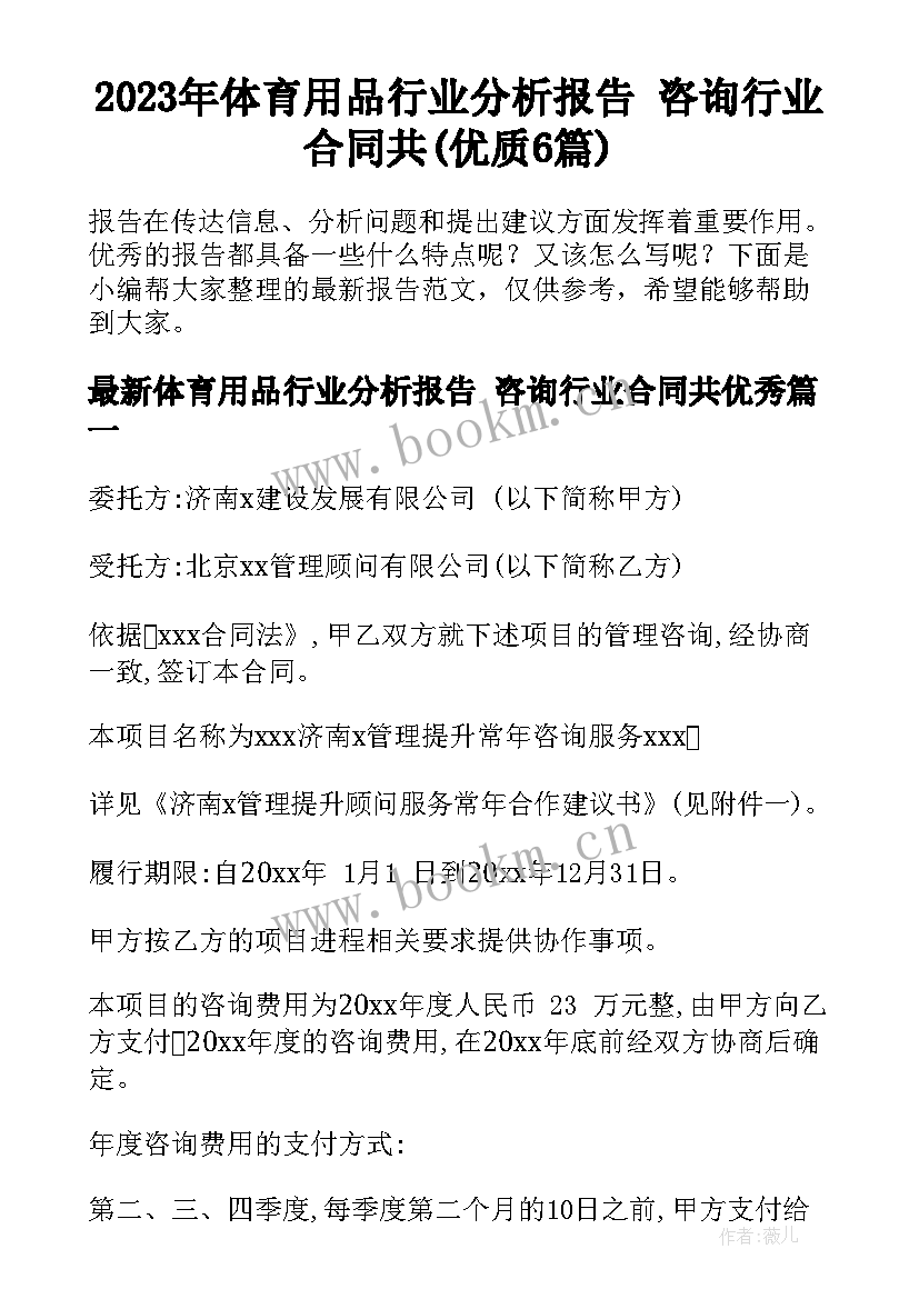 2023年体育用品行业分析报告 咨询行业合同共(优质6篇)