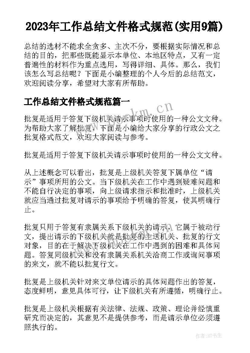 2023年工作总结文件格式规范(实用9篇)