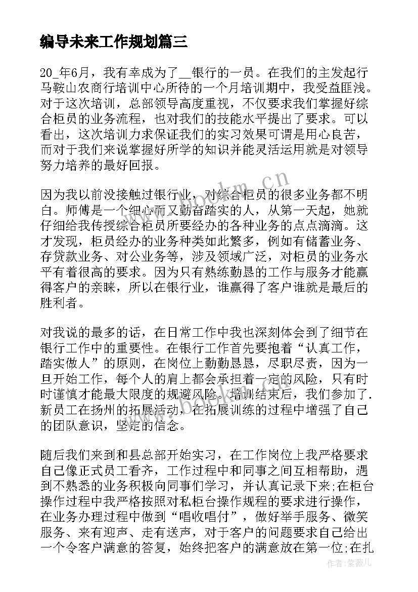 2023年编导未来工作规划(优秀5篇)