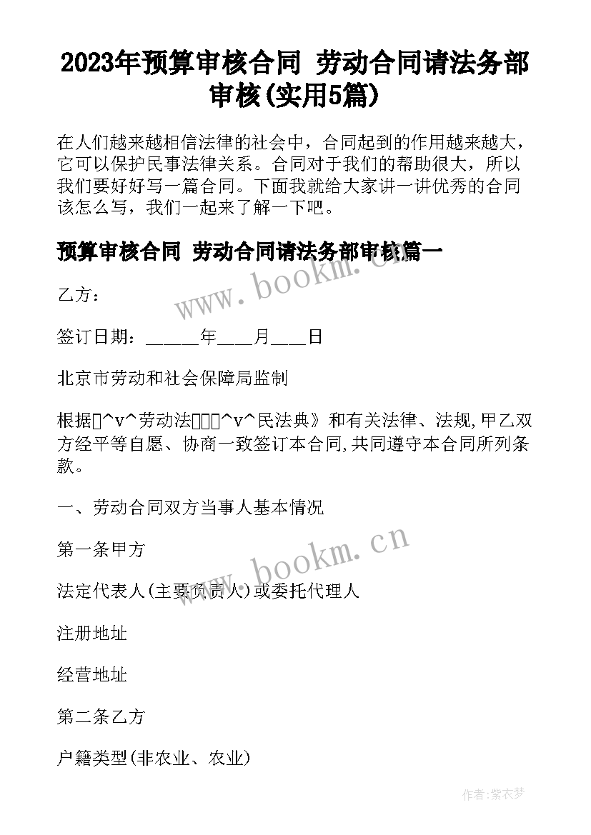 2023年预算审核合同 劳动合同请法务部审核(实用5篇)