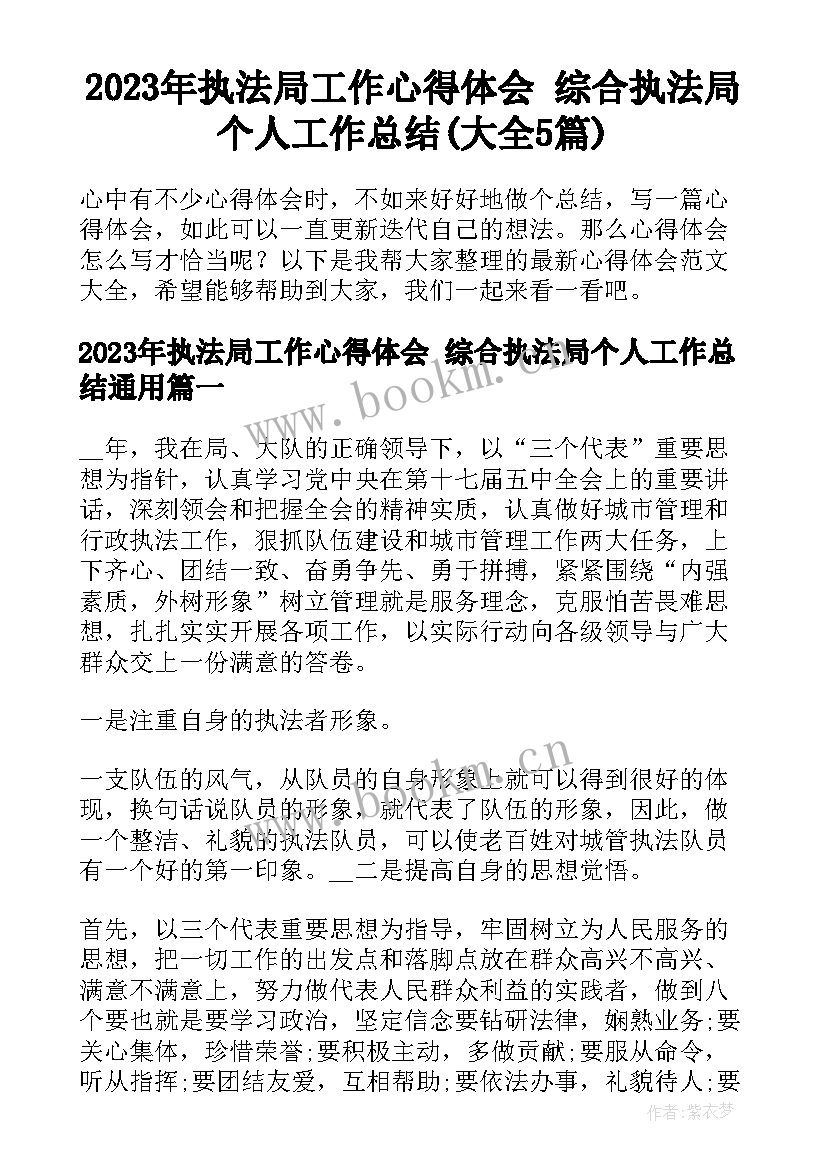 2023年执法局工作心得体会 综合执法局个人工作总结(大全5篇)